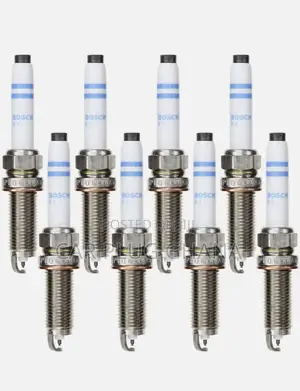 Bosch Evo Double Iridium 14 Long Va6sip80