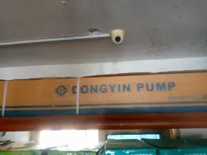 Dongyn Water Pump