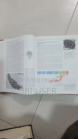 Molecular Biology of the Cell. Third Edition