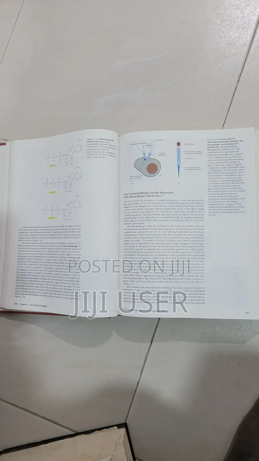 Molecular Biology of the Cell. Third Edition
