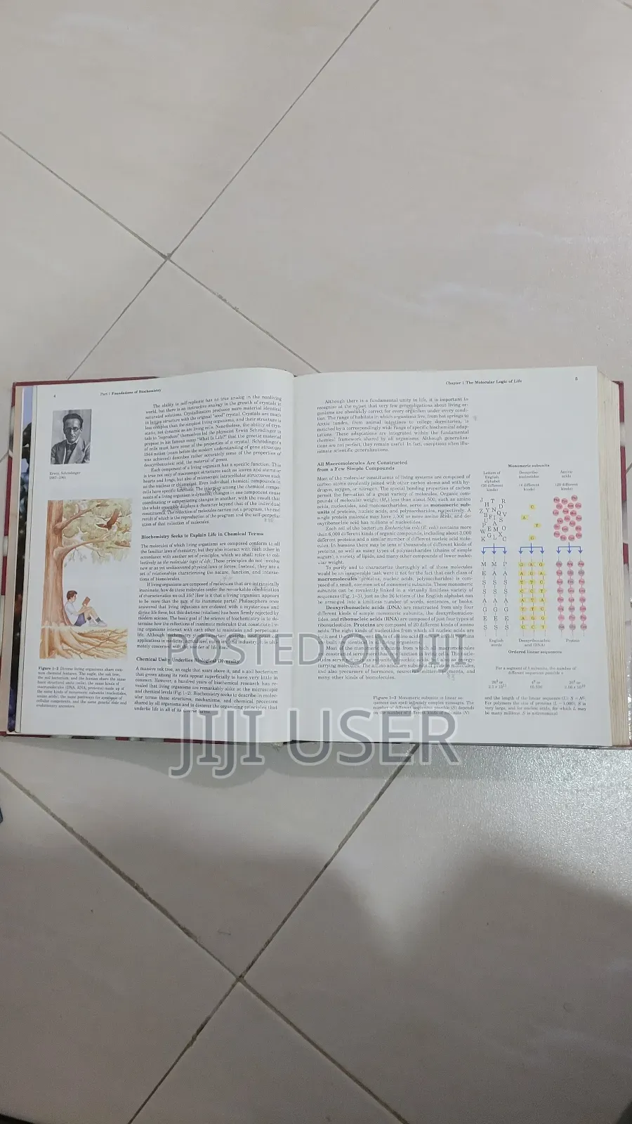 Principles of Biochemistry Second Edition