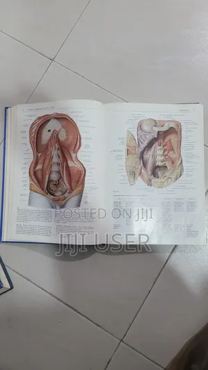 Sobotta Atlas of Human Anatomy
