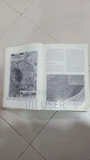 Bloom and Fawcett a Textbook of Histology