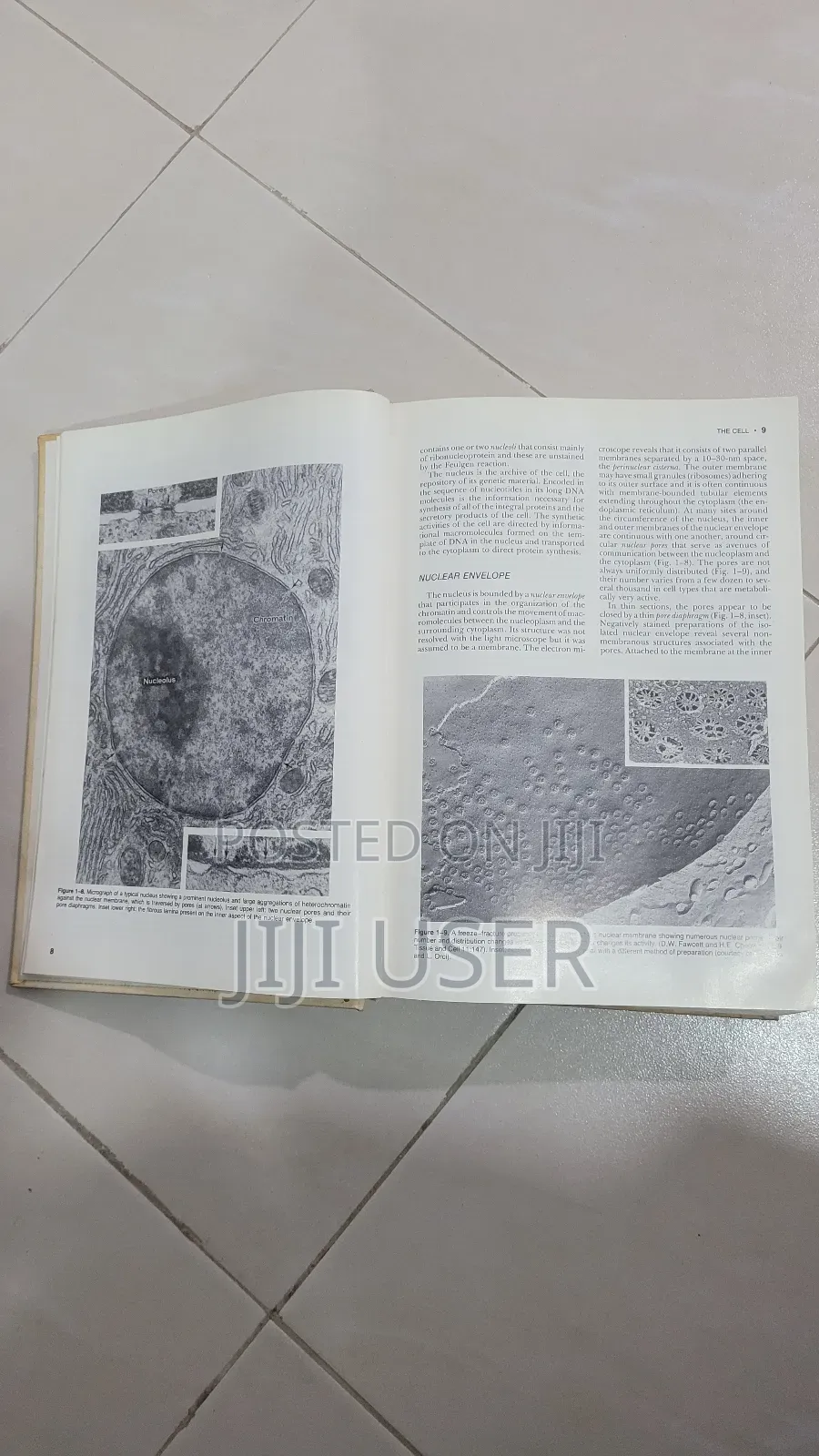 Bloom and Fawcett a Textbook of Histology