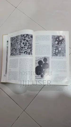 Bloom and Fawcett a Textbook of Histology