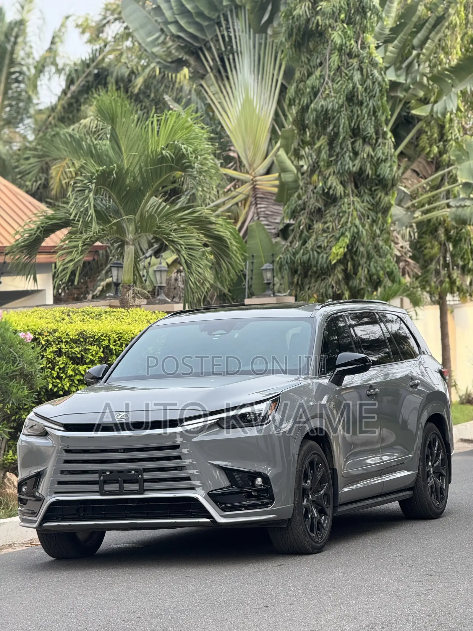 Lexus TX TX 500h AWD 2024 Gray