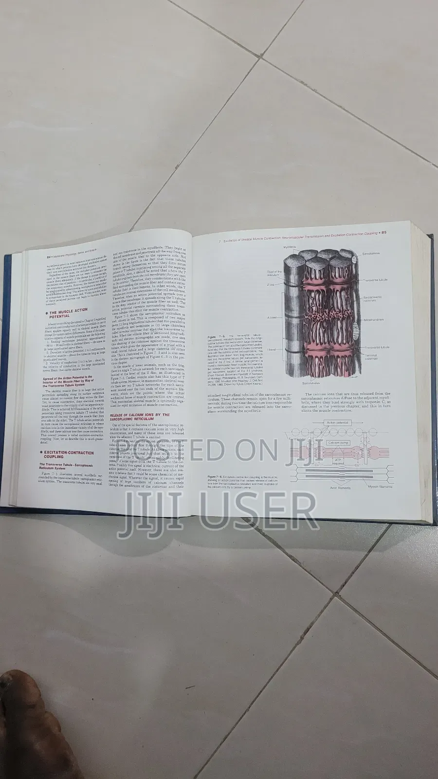 Guyton Textbook of Medical Physiology 8th Edition