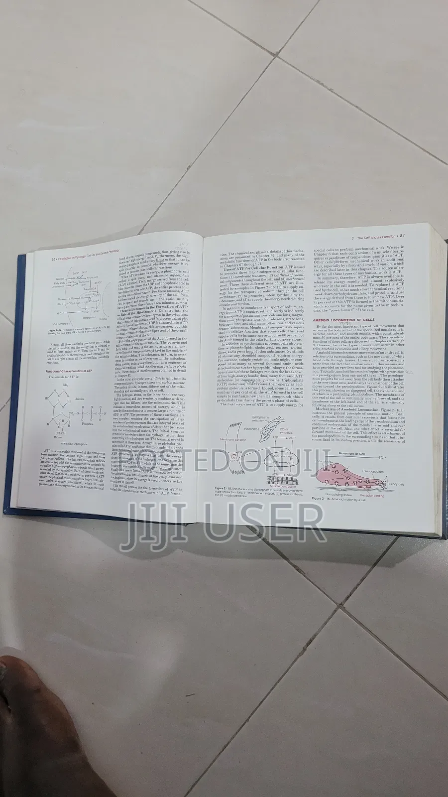 Guyton Textbook of Medical Physiology 8th Edition