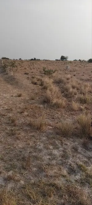 Serene and Secure Plots of Lands for at Tsopoli