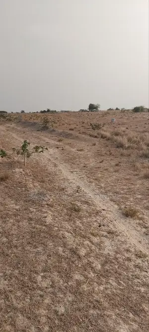 Beautiful Beach View Land at Ningo Prampram for Sale