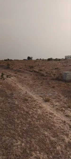 Beautiful Genuine Beach Land for Sale at Prampram