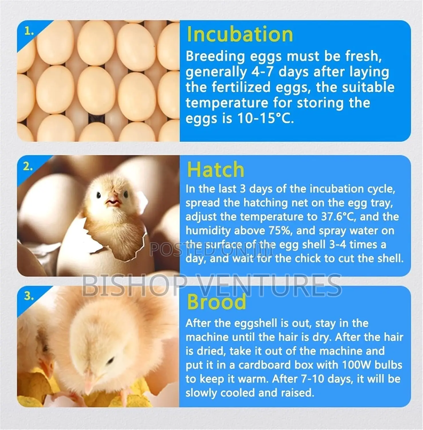 210 Eggs Capacity Incubator