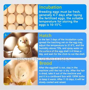 210 Eggs Capacity Incubator