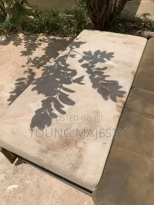 Sofa and Bed Cleaning Services