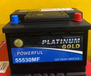 13 Plates Platinum Gold + Free Delivery