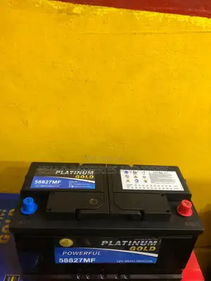 13 Plates Platinum Gold Battery ,