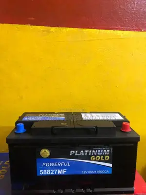 13 Plates Platinum Gold Battery ,