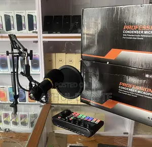 Brand New Professional Condenser Microphone