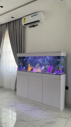 Unknown Aquarium With Fishes