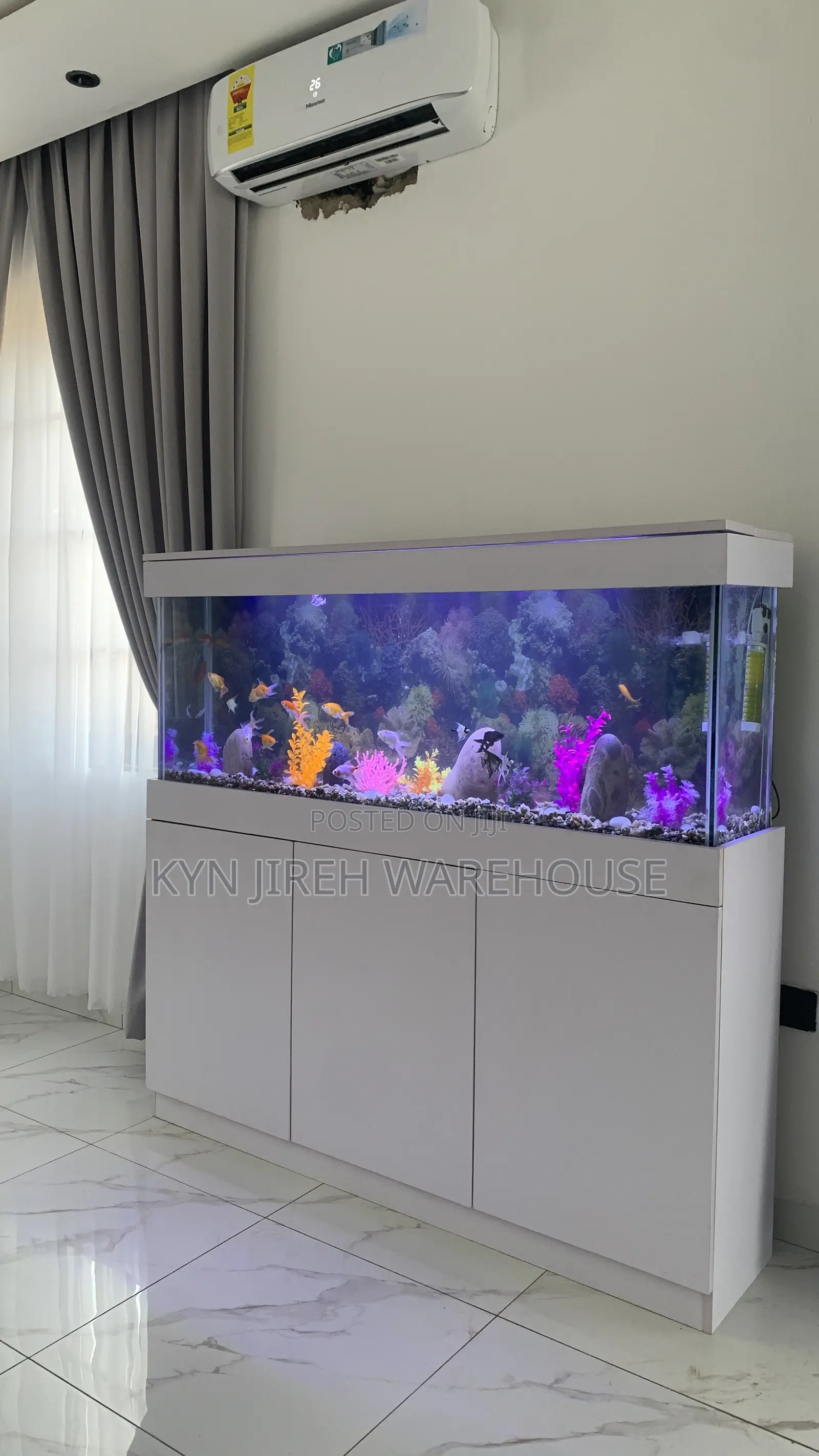 Unknown Aquarium With Fishes