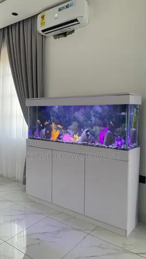 Unknown Aquarium With Fishes
