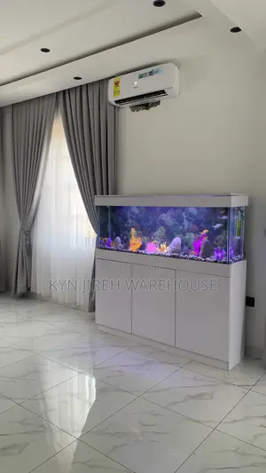 Unknown Aquarium With Fishes