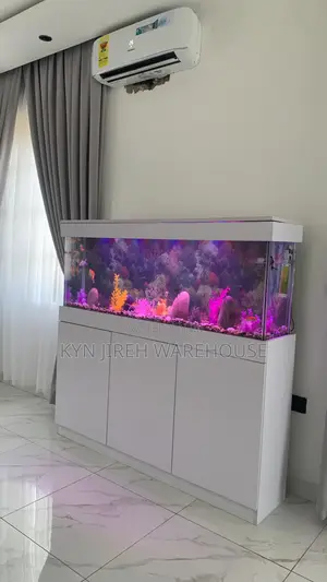 White House Aquarium With Fishes