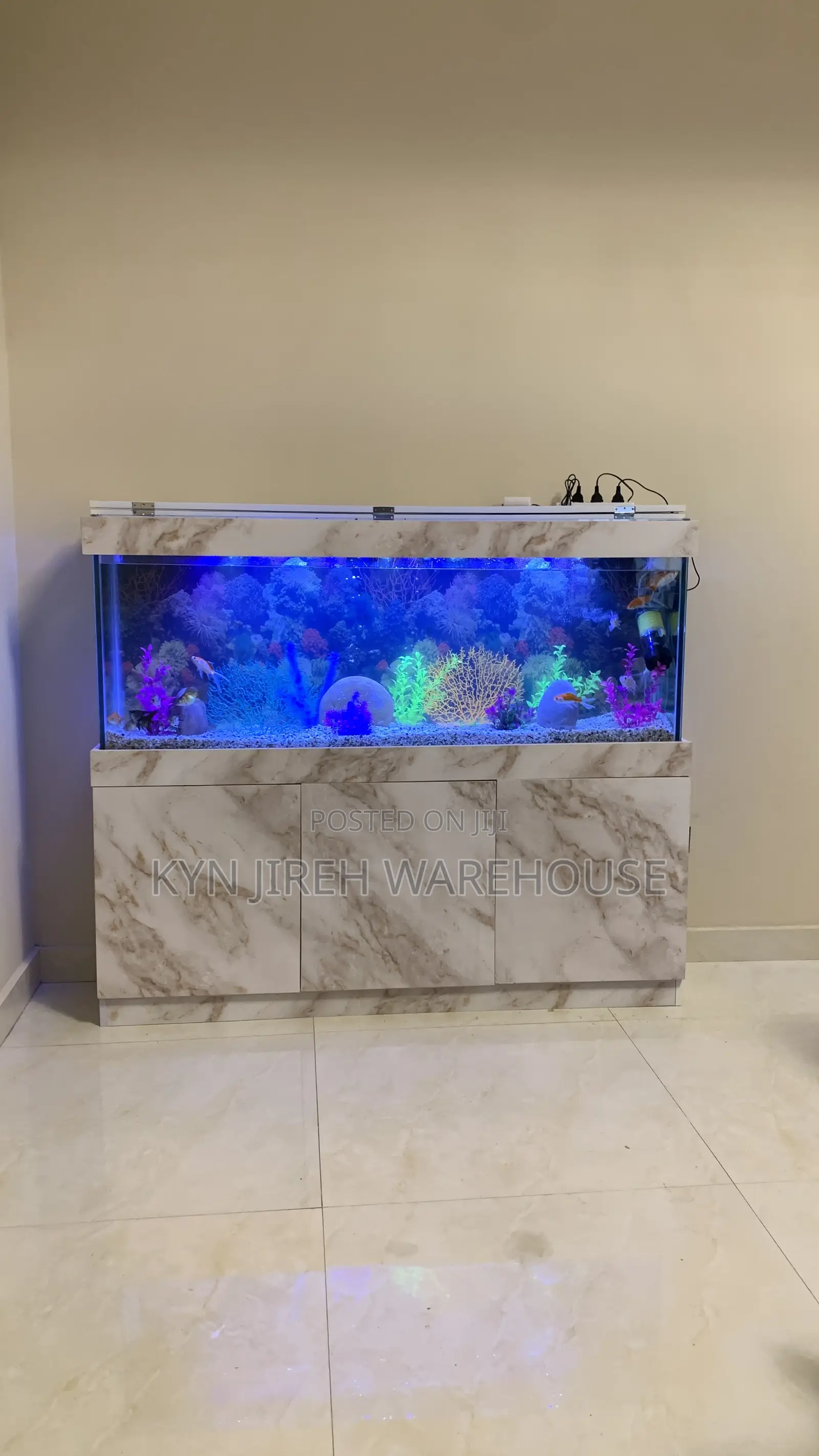 Maxi Aquarium With Fishes