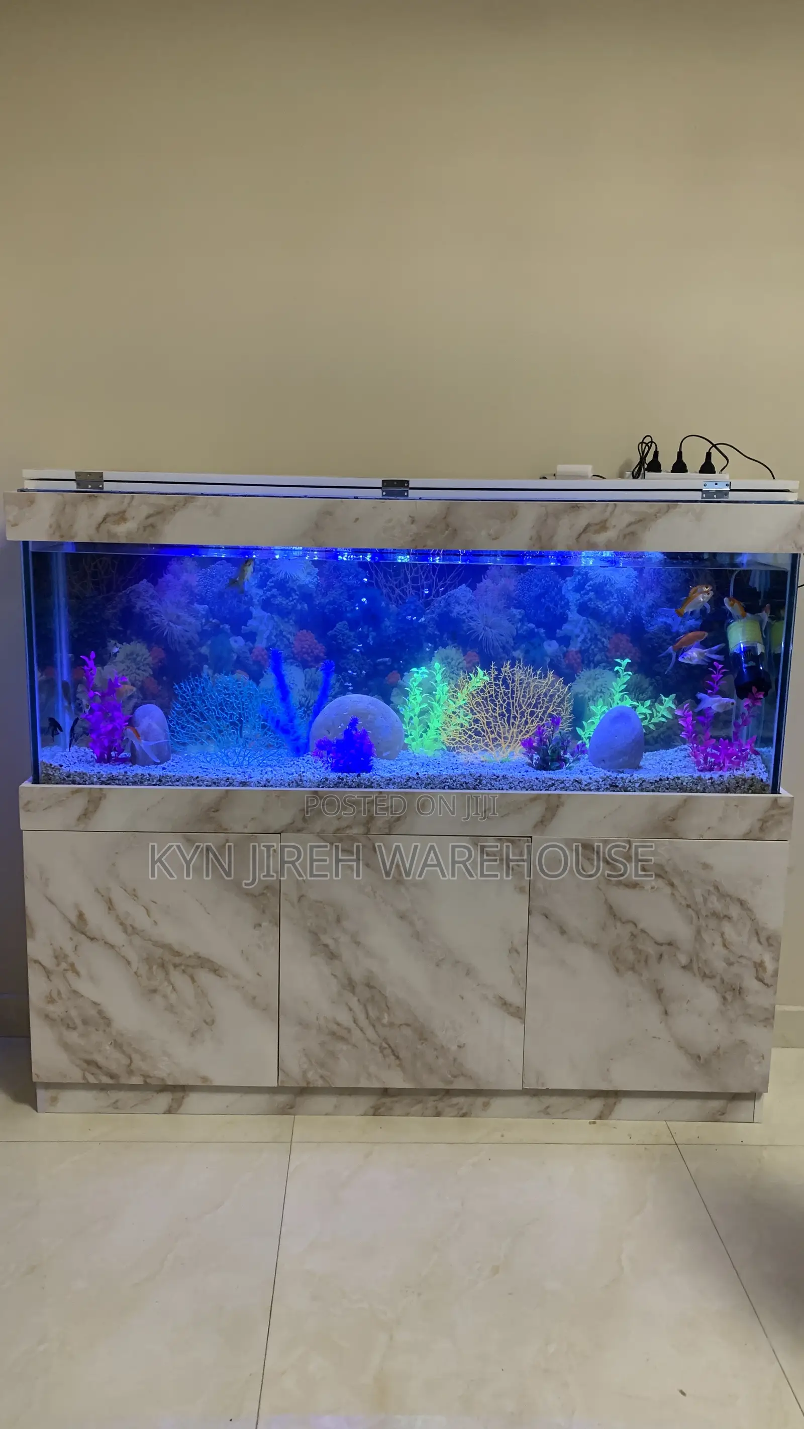 Maxi Aquarium With Fishes