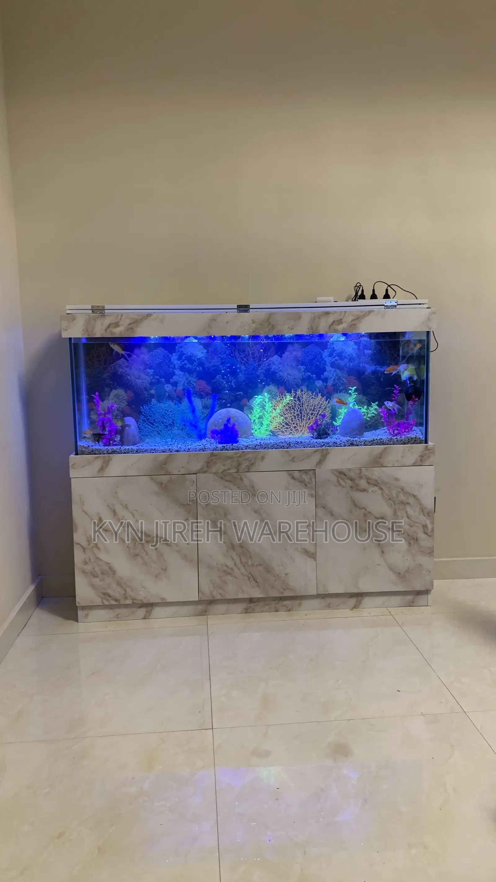 Maxi Aquarium With Fishes