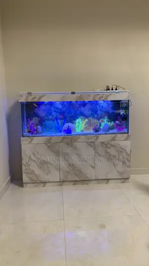 Maxi Aquarium With Fishes