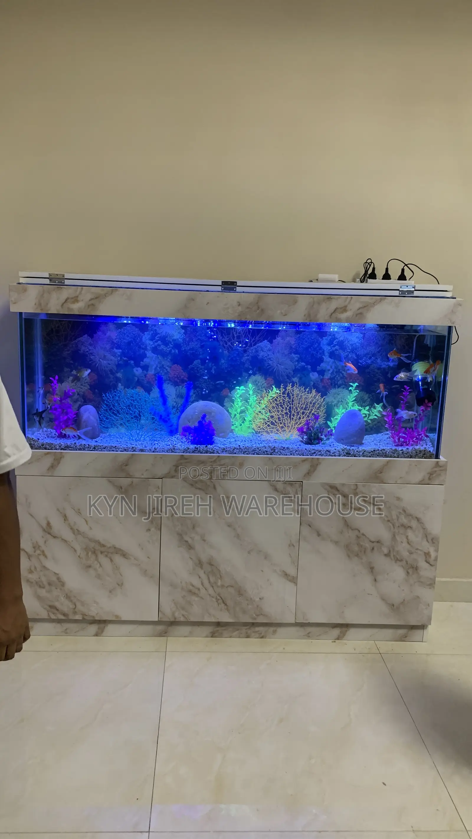 Maxi Aquarium With Fishes