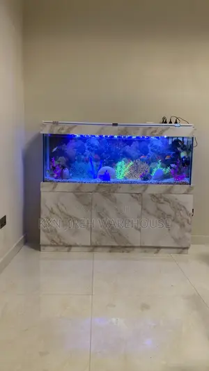 Maxi Aquarium With Fishes
