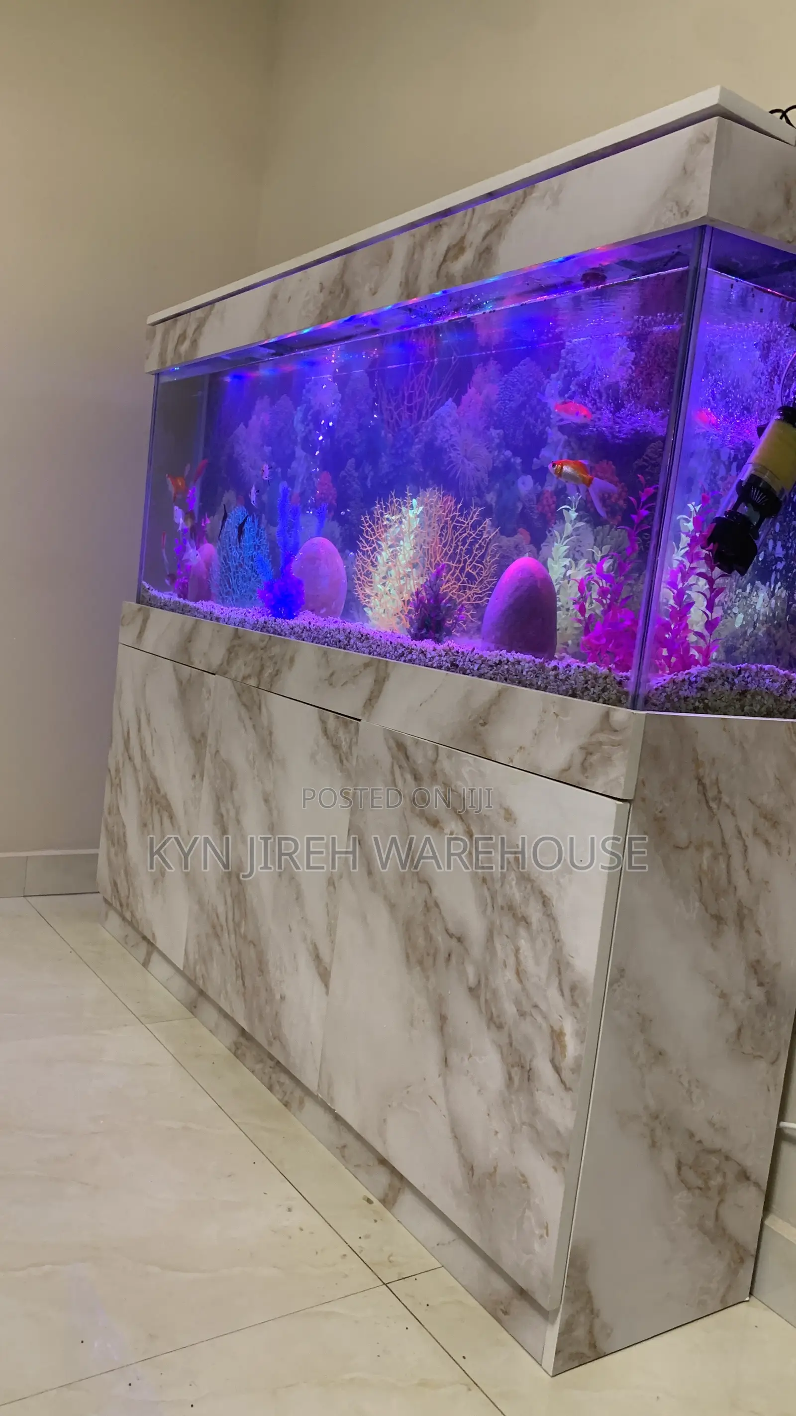 Maxi Aquarium With Fishes