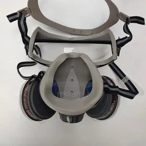 Gas Mask/Respiratory Mask