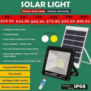 Best Solar Flood Light