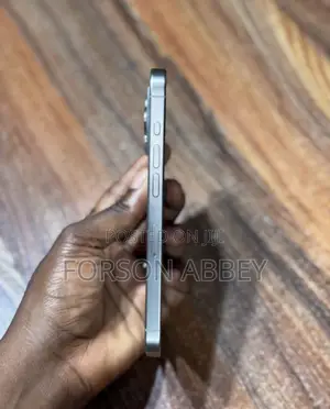 Apple iPhone 15 Pro Max 256 GB