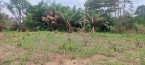 2 Plots of Land Located Behind Uncompleted SHS School