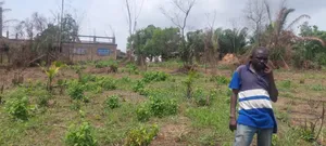 2 Plots of Land Located Behind Uncompleted SHS School