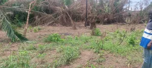 2 Plots of Land Located Behind Uncompleted SHS School