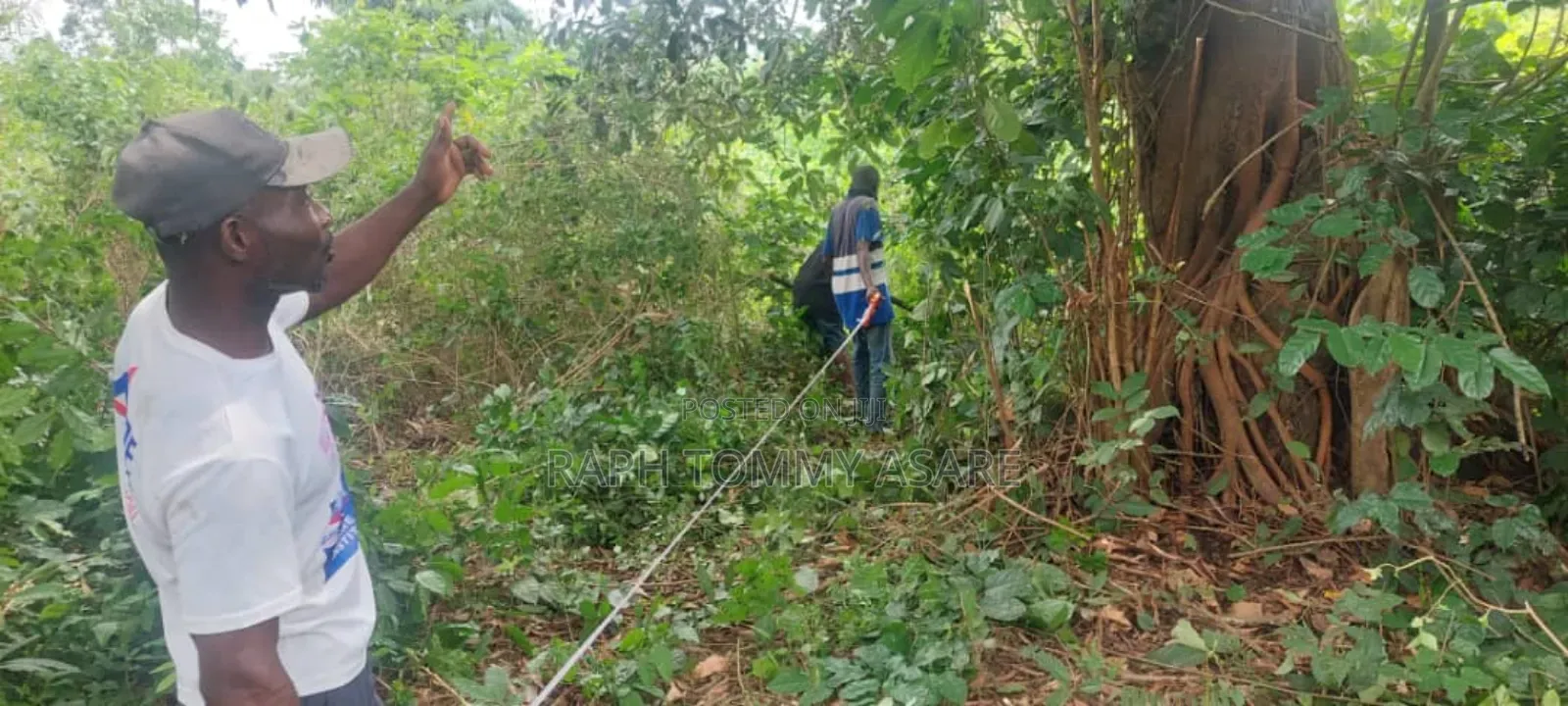 2 Plots of Land Located Behind Uncompleted SHS School