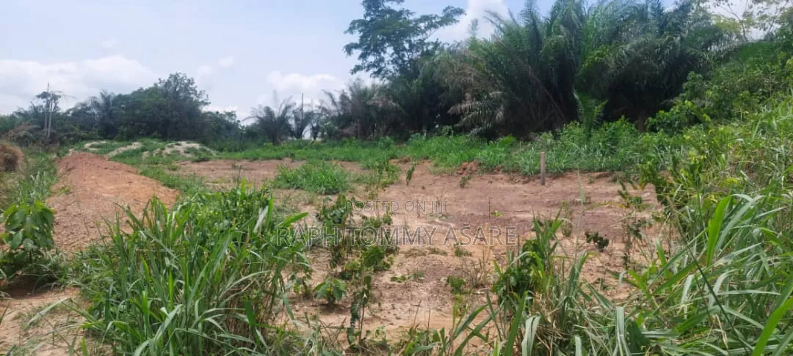 2 Plots of Land Located Behind Uncompleted SHS School