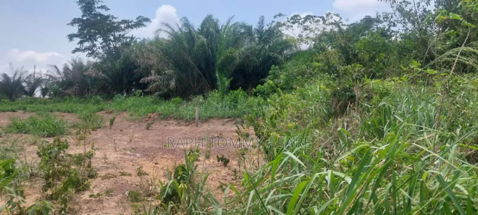 2 Plots of Land Located Behind Uncompleted SHS School