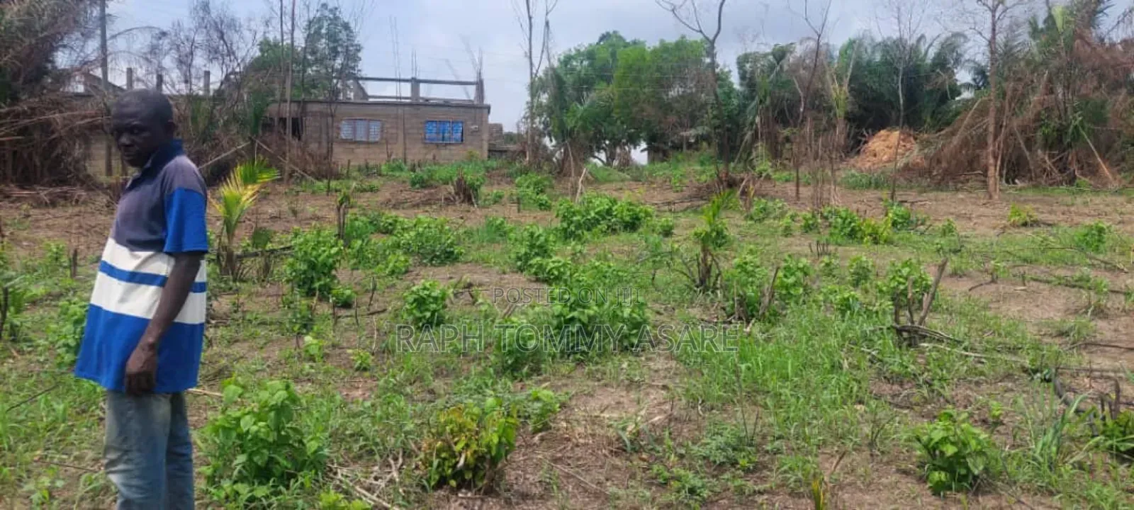 2 Plots of Land Located Behind Uncompleted SHS School