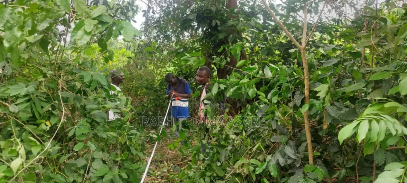 2 Plots of Land Located Behind Uncompleted SHS School