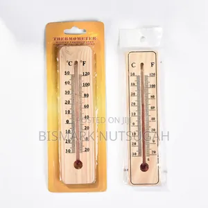 Thermometer for Sale