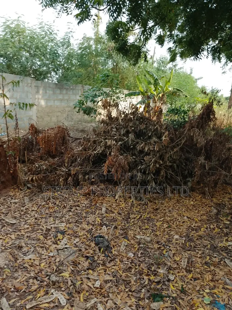 4 Plots of Roadside Land for Sale at Abokobi