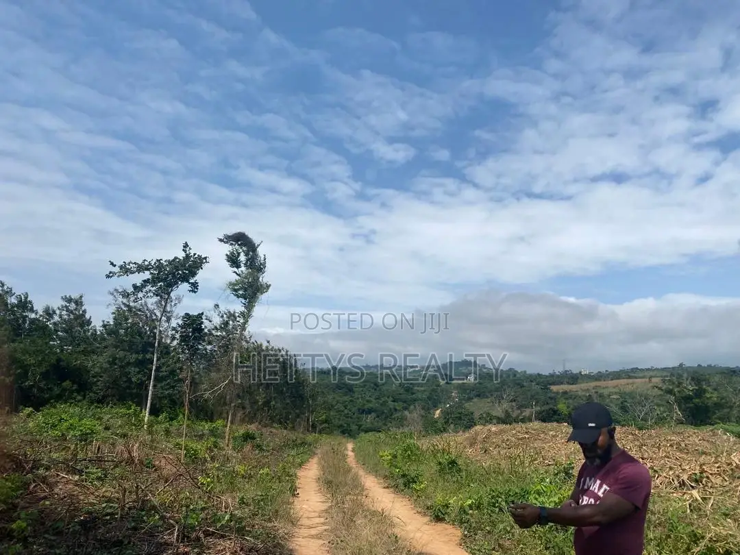 25 Acres Land for Sale Behind the Mampong Research Institute