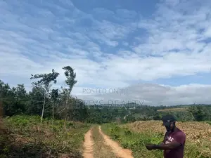 25 Acres Land for Sale Behind the Mampong Research Institute