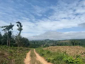 25 Acres Land for Sale Behind the Mampong Research Institute